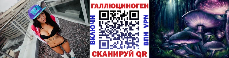 Купить  Сунжа  Псилоцибиновые грибы мицелий 